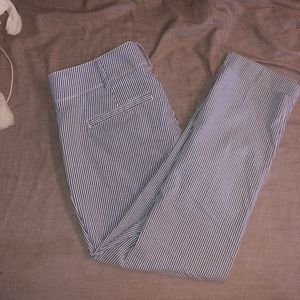 NWT NY & Company pin stripe dress pants